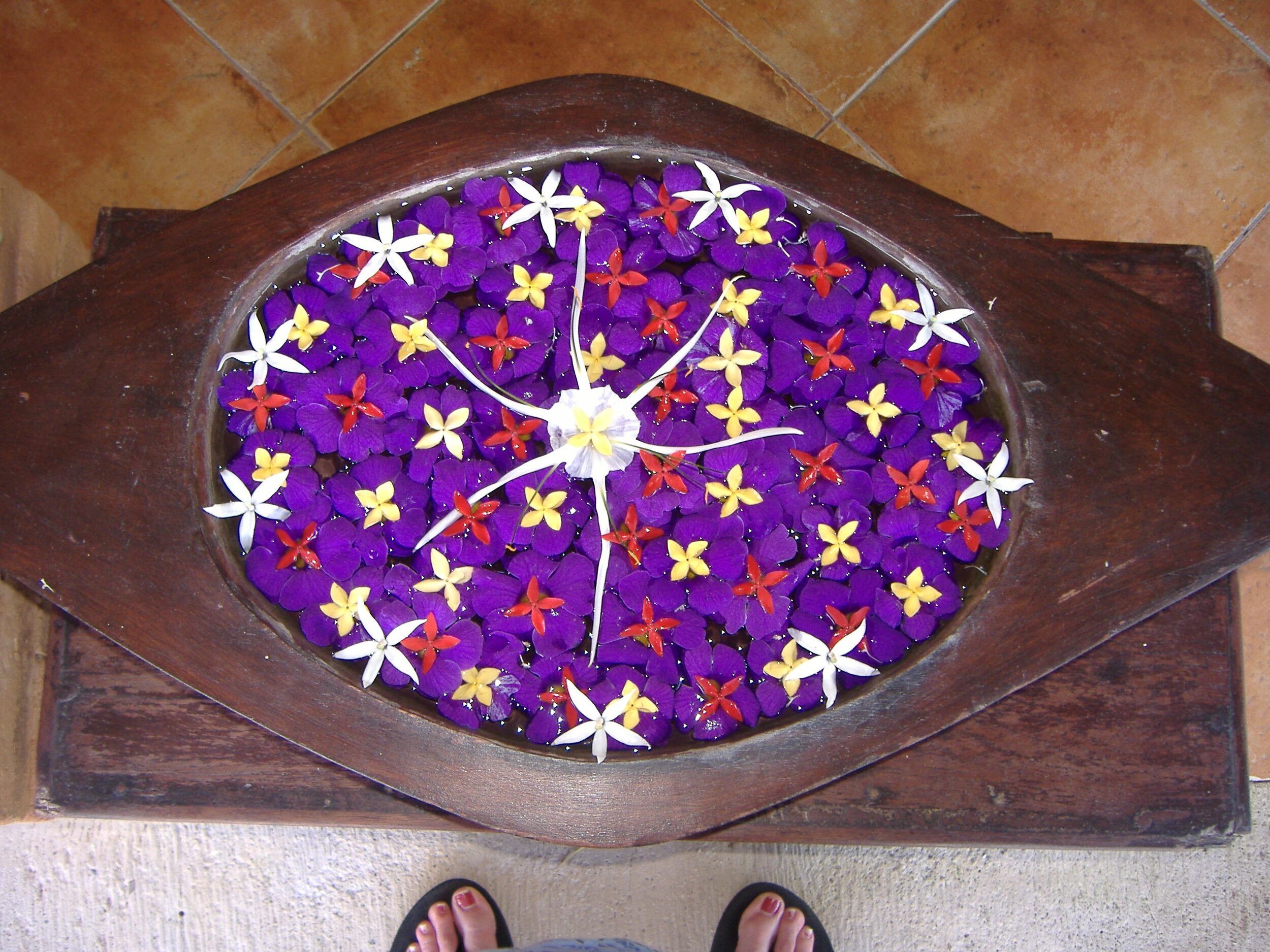 DSCF1351.jpg